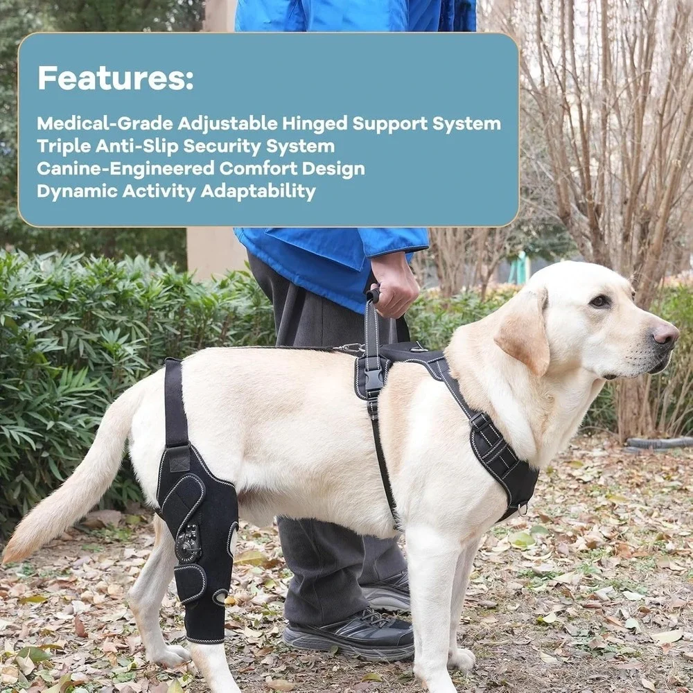 FurWell‎ M Left Dog Knee Brace Rear Leg ACL CCL Support with Chest Harness